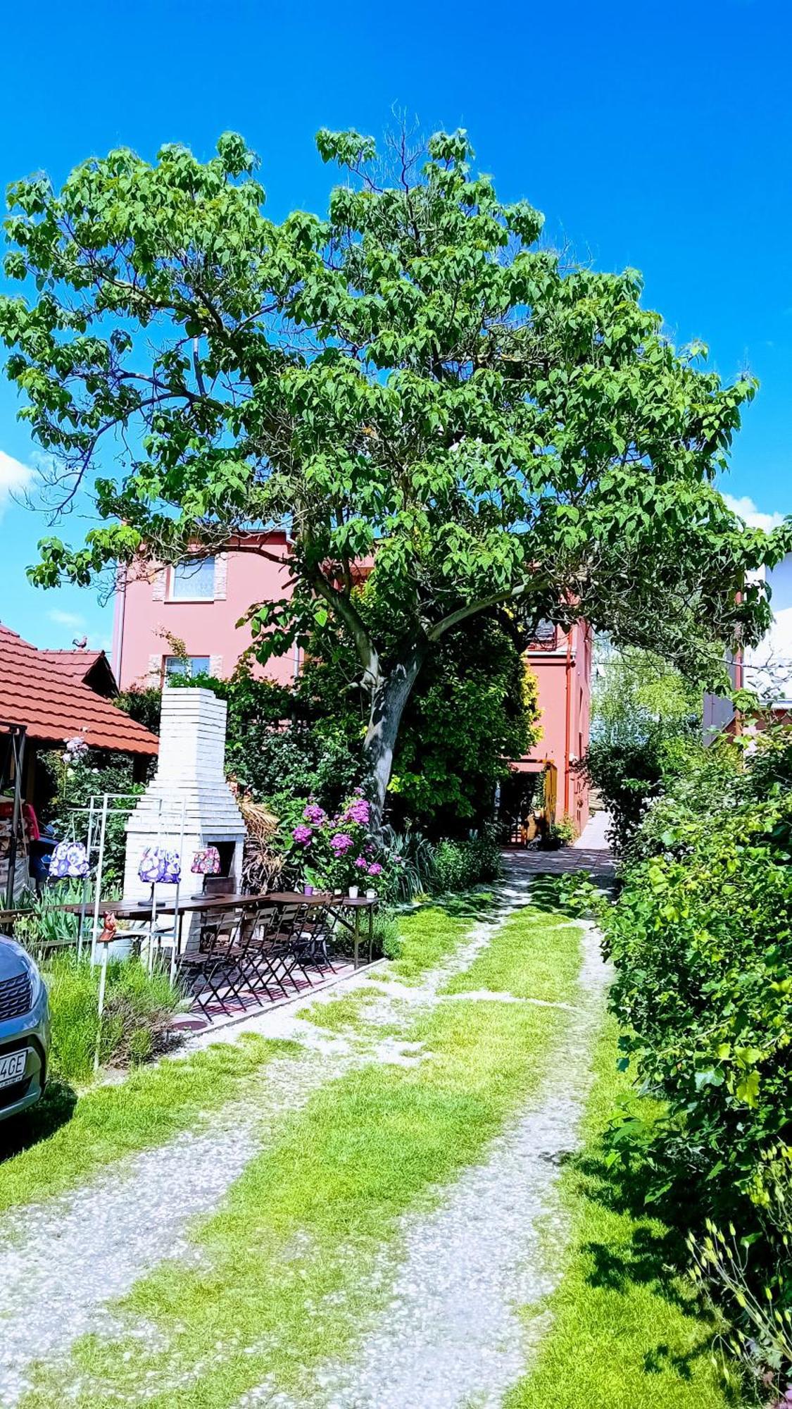 Penzion Vilka Podhajcanka Podhájska Dış mekan fotoğraf